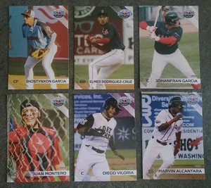 2024 Salem Red Sox SINGLE CARDS from Team Card Set - CHOOSE YOUR PLAYER - Picture 1 of 6