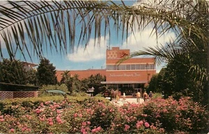 Postal de entrada a cervecería Anheuser Busch Gardens Tampa FL Florida - Imagen 1 de 2