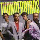 The Fabulous Thunderbirds Wrap It Up Vinyl Single 7inch NEAR MINT CBS Associa