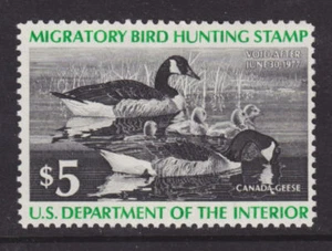 US Sc RW43 MLH. 1976 $5 green & black Canada Geese F-VF - Picture 1 of 1