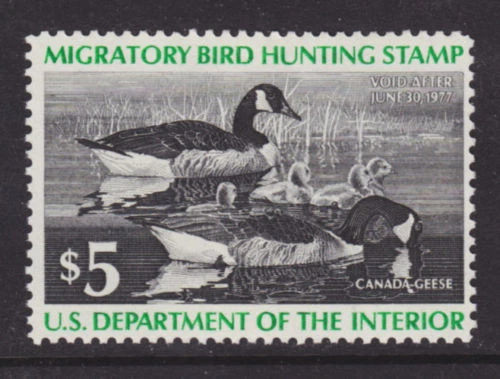 US Sc RW43 MLH. 1976 $5 green & black Canada Geese F-VF - Image 1 of 1