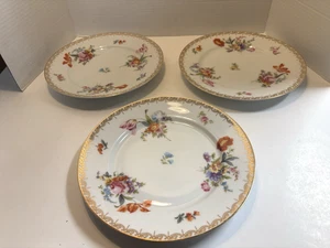 Antique Bavaria  TIRSCHENREUTH  Old Meissen  3 dinner plates 9 3/4 in  3810 - Picture 1 of 6