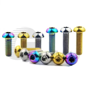 M3 M4 M5 M6 Pernos de Titanio Cabeza de Botón Enchufe Tapa Tornillo GR5 Ti Bicicleta Motocicleta - Imagen 1 de 14