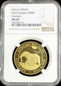 2022 GOLD SOMALIA 500 SHILLINGS 1/2 oz WILDLIFE ELEPHANT COIN NGC MINT STATE 69 - Picture 1 of 2