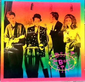 THE B52'S  - Cosmic Thing - 1989 Audio CD - Bild 1 von 6