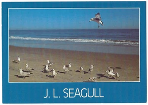 J.L. Seagull Virginia Beach Postcard VA Humorous - Picture 1 of 2
