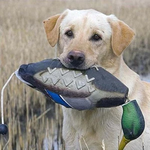 3D Mallard Duck Decoy Hunting Decoy Scarecrow Outdoor Hiking for Dog Chewing - Picture 1 of 7
