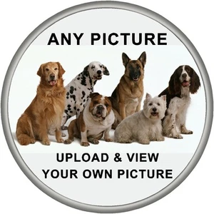Personalised Spare Wheel Sticker YOUR OWN PHOTO Design Fit Semi Rigid Covers - Picture 1 of 2