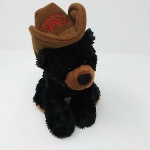 Grand Ole Opry AURORA souvenir Black Bear soft plush stuffed animal toy - Picture 1 of 9