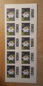 10x Briefmarken 0,05€ / 5 Cent, selbstklebend, neu, postfrisch, Markenset - Bild 1 von 1