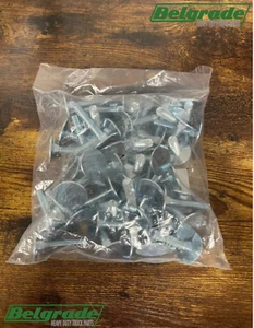 Perno elevador 3/8-16 X 2 pulgadas Pack de 50 chapados en zinc - Imagen 1 de 1