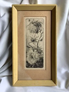 Antica cornice incisione arte scienza botanica fiore artista femminile firmata bianca - Foto 1 di 8