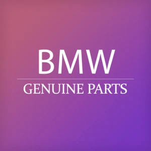 Véritable BMW MINI ROLLS-ROYCE boîtier de prise universel non codé 61131392246 - Photo 1/1