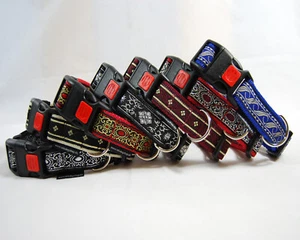 Hundehalsband mit Borte veredelt + Größen M, L ++++ 7 Farben - Bild 1 von 15