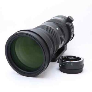 SIGMA Sports 150-600mm F/5-6.3 DG 1.4x Teleconverter Kit (Canon EF) #332