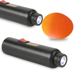 Auto Light Egg Incubator LED Lamp Egg Hatcher For Students BEL - Picture 1 of 8