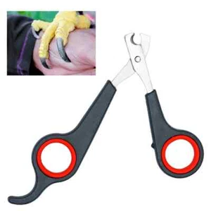Small Pet Bird Nail Clippers Grooming Tool - Stainless Steel Parrot Accessory - Picture 1 of 13