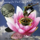 DAVID SURKAMP - Dancing On The Edge Of A Teacup - CD