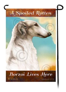 A Spoiled Rotten (Grey and White) Borzoi Lives Here - Picture 1 of 1