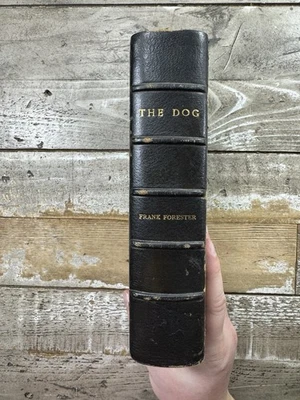 1868 Antique Dog Reference Book “The Dog: Dinks, Mayhew, Hutchinson” Illustrated Foto 1 de 4