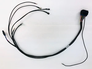 NOS GILROY INDIAN MOTORCYCLE 00-01 Scout 01 Spirit Main Wire Harness 94-031 - Foto 1 di 7