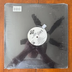 Aaliyah - Age Ain't Nothing But A Number (1994) 12" LP Vinyl - Sealed - Picture 1 of 2
