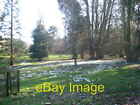 Photo 6x4 The Kingston Lacy Estate Tadden This was taken during the snowd c2007