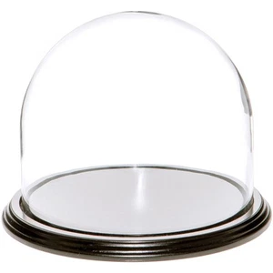 Cúpula de exhibición de vidrio Plymor de 8" x 6,5" (base de chapa de madera negra) - Imagen 1 de 1