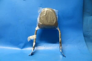 Daelim Daystar VL125 VT125 Backrest BA1A-63030 - Picture 1 of 6