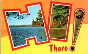 Saludos desde CLARKESVILLE, Georgia GA "¡Hola allí!" - Postal - Imagen 1 de 2