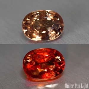 1.27CtOval_Exceptional 100% Natural Color Change Garnet_Tanzania - Picture 1 of 1