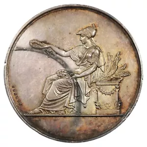 France médaille 1869 Cours d'adultes signée Brenet attribuée Darnaud - argent - Imagen 1 de 3