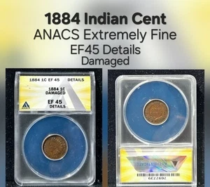 1884 1c Indian Cent ANACS Extremely Fine EF45 Details - Damaged - Picture 1 of 1