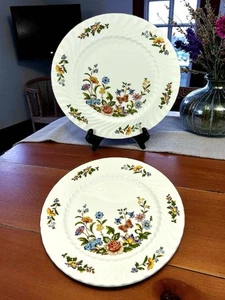 2 assiettes à dessert ou à tarte Aynsley English Bone China Cottage Garden - Photo 1/11