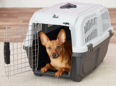 "Portador de plástico para mascotas Midwest Pet Skudo 19""" Foto 1 de 4