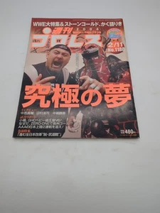 Weekly Pro Wrestling 1188 Japanese Magazine 2/11/2004 FMW WWF NJPW NWA MMA - Picture 1 of 1