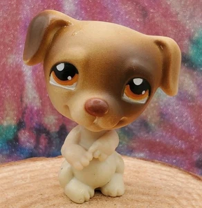 Auténtico Littlest Pet Shop LPS #109 Jack Russell Terrier celebración junto al mar - Imagen 1 de 8