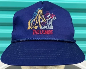 The Downs Pferderennen Mütze Druckknopflasche bestickt tolle Grafik - Bild 1 von 11