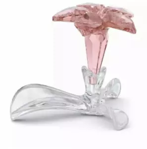 Swarovski SCS 2021 Desert Rose Crystal Figurine -5557915 New - Picture 1 of 2
