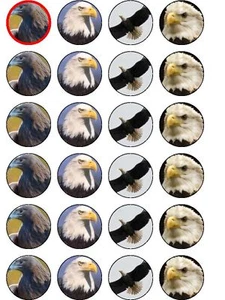 24X EAGLES RICE PAPER BIRTHDAY CAKE TOPPERS  - Picture 1 of 1