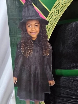 Jakks Universal Wicked Elphaba Dress-Up Set, Size 4-6 **BRAND NEW** - Image 1 of 4