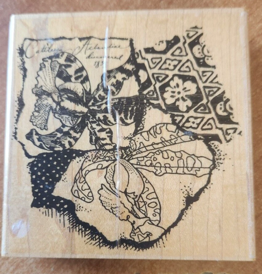 STAMPENDOUS BOTANICA Collection Rubber Stamp LEOPARD ORCHID COLLAGE - Image 1 of 1