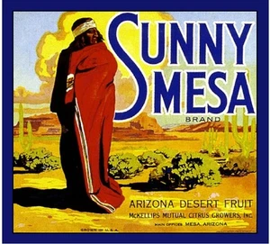 Arizona Sunny Mesa Orange Citrus Fruit Crate Label Vintage Art Print - Picture 1 of 1