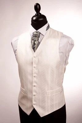 Men's and Boy's Waistcoats In Ivory, Ideal For Weddings, Special Occasion, Prom - Image 1 of 2