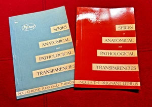 Pfizer Series Of Anatomical And Pathological Transparencies No. 1 & 4 - Picture 1 of 9