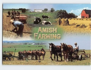 Postkarte Amish Farming Pennsylvania USA - Bild 1 von 2