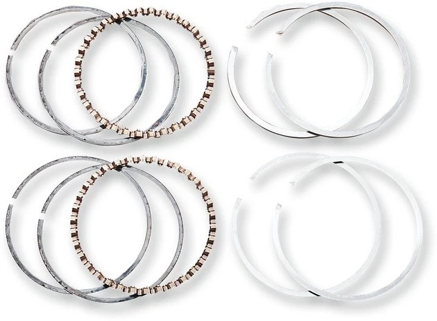 Hastings Moly Rings 1550cc +.010" #2M-4941-010 Harley Davidson - Изображение 1 из 1