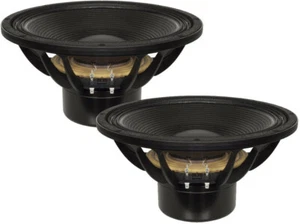 2x B&C 15DS115 15" Neodymium Subwoofer Speaker 3200W 8-Ohm Bass Sub (35-1000 Hz) - Picture 1 of 10