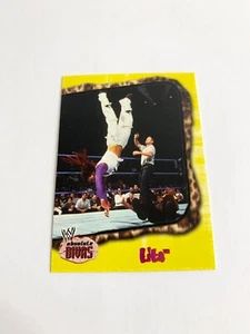 Lita 2002 Fleer Absolute Divas WWE Card # 39 - Picture 1 of 2