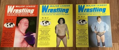 Lote de 3 programas de lucha libre de las Grandes Ligas WWF 1981 Andre The Giant Hulk Hogan Foto 1 de 4